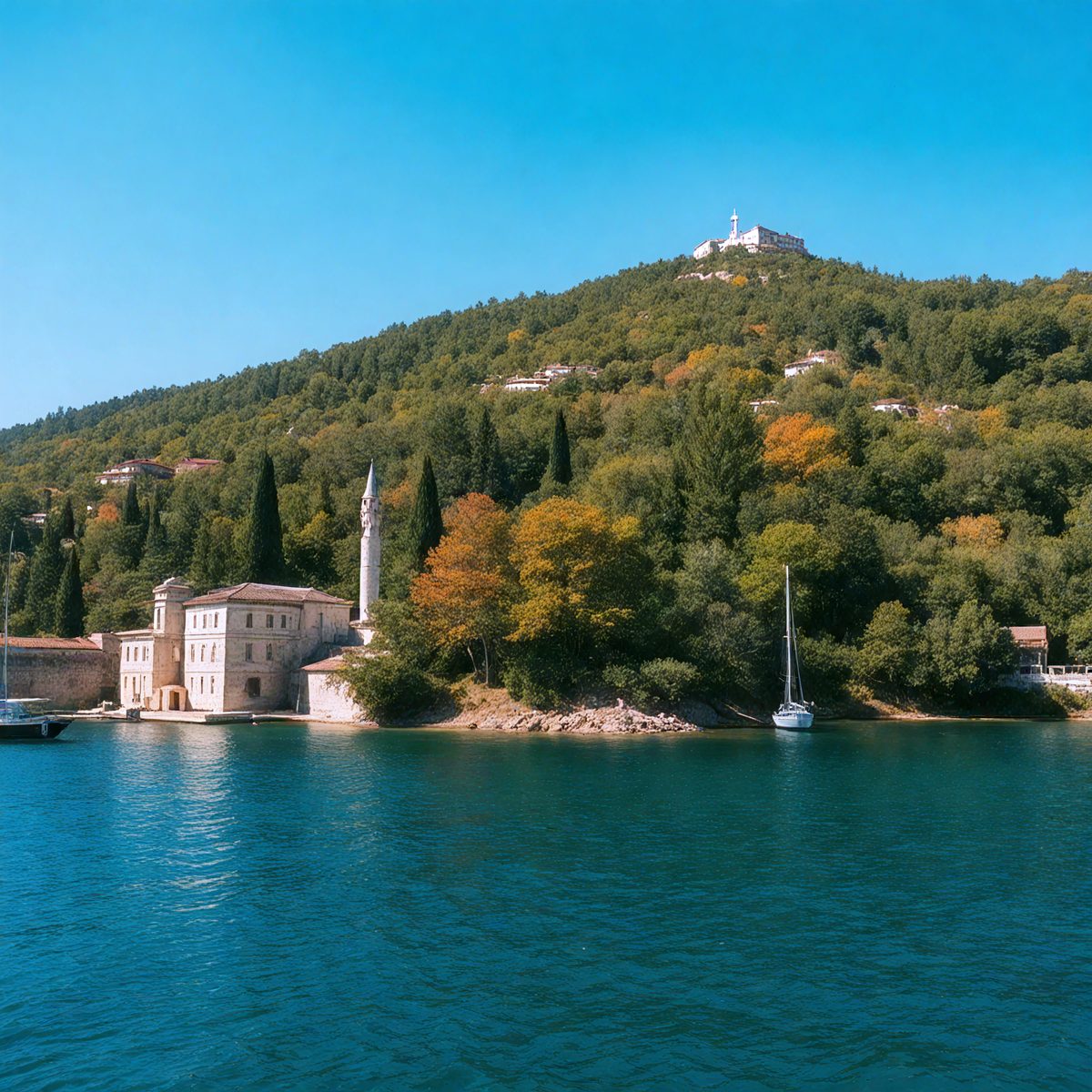 ad68ee01-0bcc-4ea8-8de6-612fc5957ded-turkish-forests-island-684acd_250319182600_Filename Text 2_04068_Filename Text 3_result.jpg
